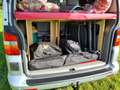 Volkswagen T5 Caravelle 8 persoonsbus én camper Argent - thumbnail 24