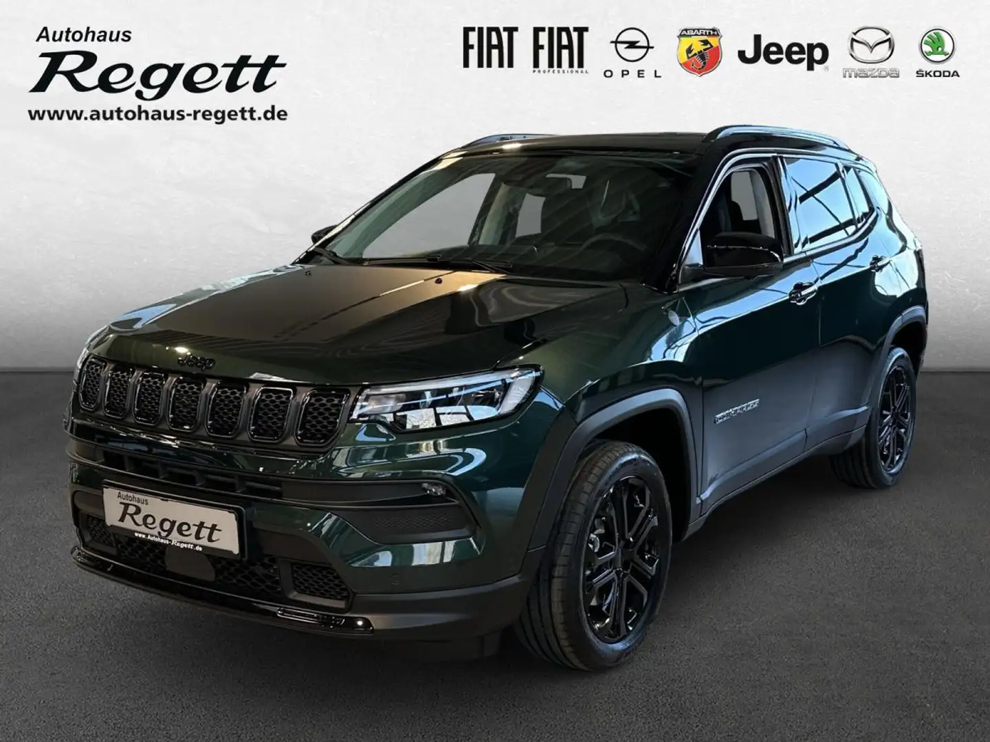 Jeep Compass (M7) Grün - 1