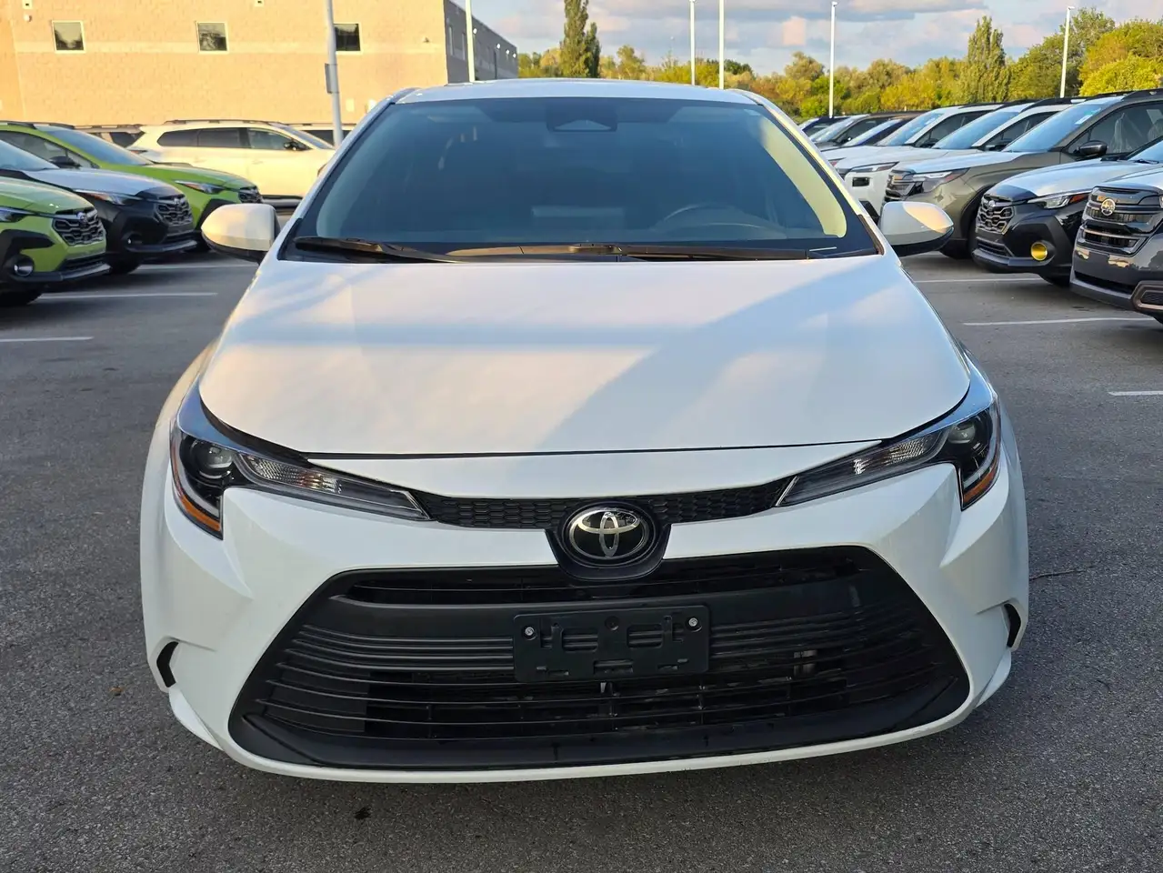 2024 Toyota Corolla