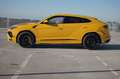 Lamborghini Urus S 4.0 V8 Sport 23Zoll* Gelb - thumbnail 4
