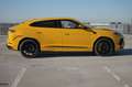 Lamborghini Urus S 4.0 V8 Sport 23Zoll* Gelb - thumbnail 5