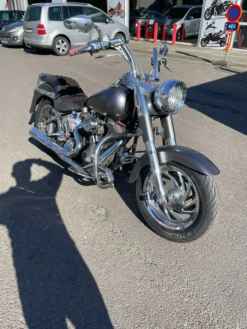 Harley-Davidson Heritage Softail Argintiu - 2