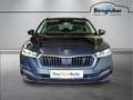 Skoda Octavia Premium TDI DSG Grau - thumbnail 2