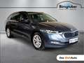 Skoda Octavia Premium TDI DSG Grau - thumbnail 1