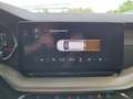 Skoda Octavia Premium TDI DSG Grau - thumbnail 14
