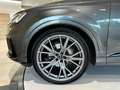 Audi Q7 50 TDI Black line plus quattro Gris - thumbnail 18