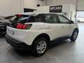 Peugeot 3008 1.5 bluehdi Active Business s&s 130cv eat8 - thumbnail 5