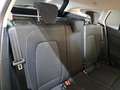 Ford Focus WAGON 1.5 Ecoblue 120cv Business - thumbnail 11
