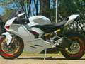 Ducati Panigale V2 white  *perfekt für die Saison Alb - thumbnail 8