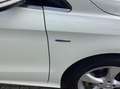 Mercedes-Benz B 200 Ambition, automaat, xenon verlichting, parkeersens Blanc - thumbnail 7