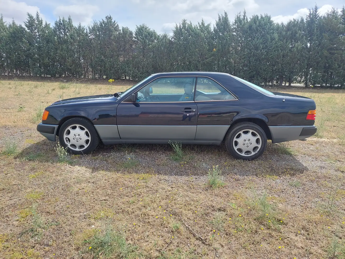 Mercedes-Benz CE 300 Deportivo Automático de 2 Puertas Azul - 1