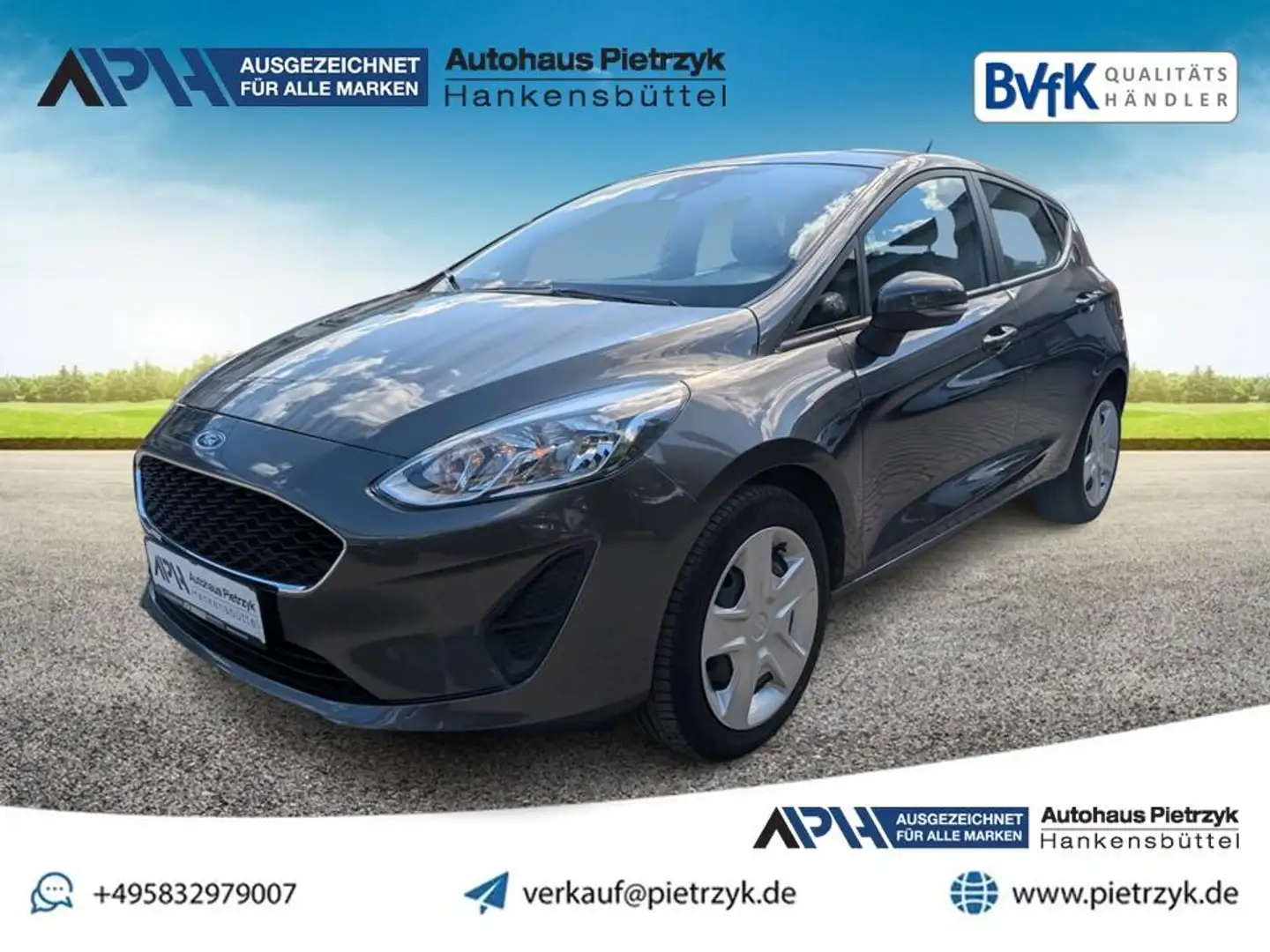 Ford Fiesta Cool & Connect Gris - 1