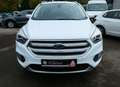 Ford Kuga 2,0 4x4 AHK/Active Park Assist/Mirror Link Weiß - thumbnail 5