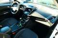 Ford Kuga 2,0 4x4 AHK/PLA/Mirror Link/SHZG Weiß - thumbnail 15
