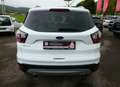 Ford Kuga 2,0 4x4 AHK/Active Park Assist/Mirror Link Weiß - thumbnail 10