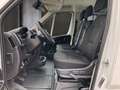Fiat Ducato Maxi Pritsche DK L4 3500 140 MT Weiß - thumbnail 10