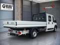 Fiat Ducato Maxi Pritsche DK L4 3500 140 MT Weiß - thumbnail 1