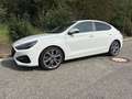 Hyundai i30 i30 1.5 T-GDI Fastback 48V-Hybrid EDITION 30+ Weiß - thumbnail 1