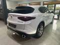 Alfa Romeo Stelvio Business 2.2 Weiß - thumbnail 5