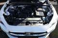 SEAT Leon Sportstourer Style ST 1.5 eTSI 115 DSG LED Visi... Blanc - thumbnail 12