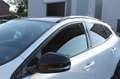 Volvo V40 Cross Country 1.6 T4 Summum Leer Xenon Pano Clima Cruise! Wit - thumbnail 8