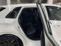 Audi RS3 RS3 Sportback RS-Sitze RS-ExterieurCarbon 280km/ Bianco - thumbnail 14
