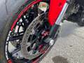 Ducati Monster 937 PLUS ACCESSORIATA Rot - thumbnail 7