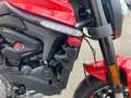 Ducati Monster 937 PLUS ACCESSORIATA Rouge - thumbnail 5