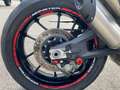 Ducati Monster 937 PLUS ACCESSORIATA Rosso - thumbnail 2