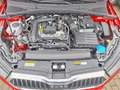 Skoda Fabia 1.0 TSI Selection 70 kW (95 PS), Schaltgetriebe Rouge - thumbnail 7