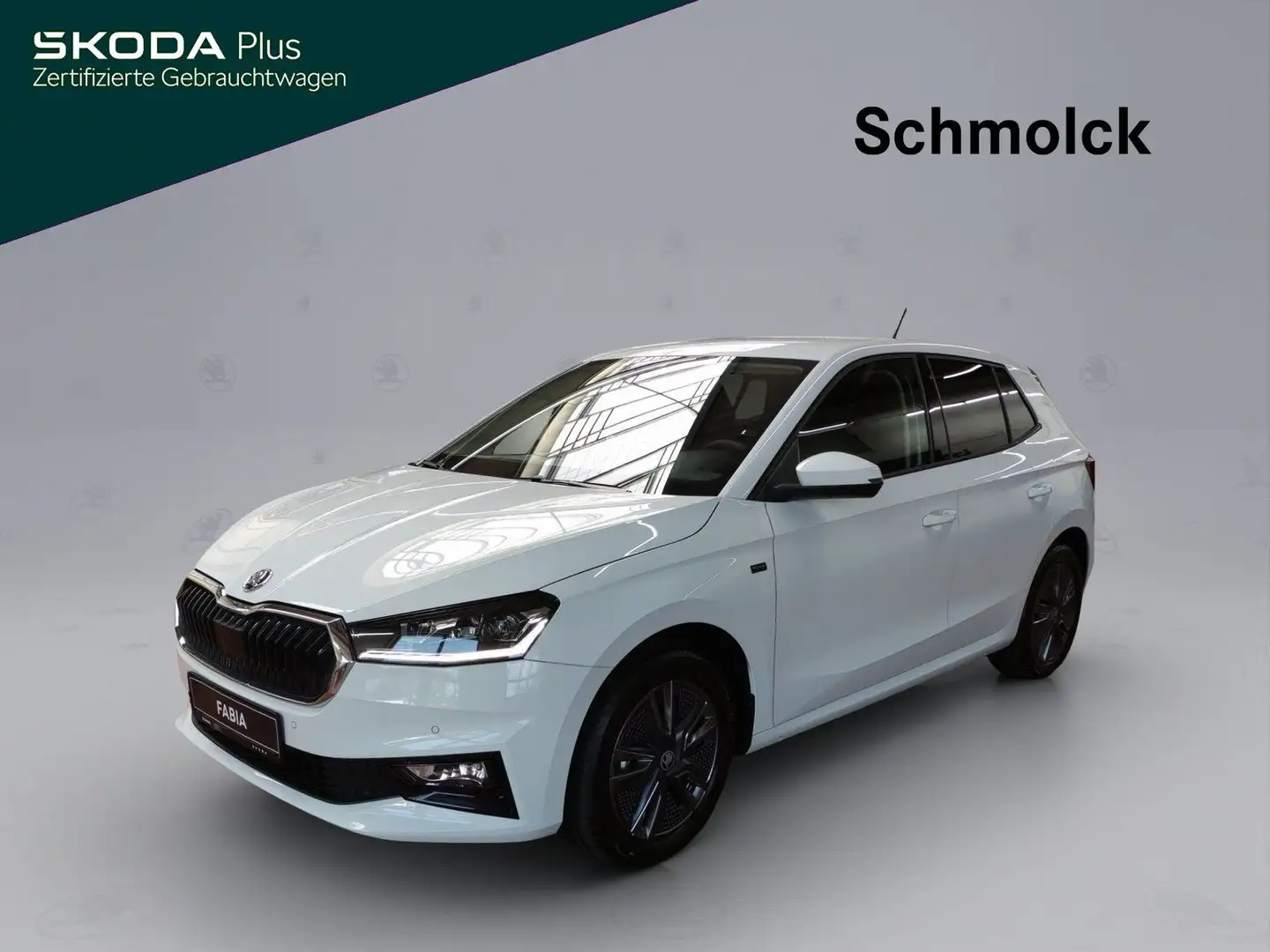 Skoda Fabia Tour 1.0 MPI 80 PS CLIMATRONIC LED PDC Weiß - 1