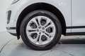 Land Rover Range Rover Evoque 2.0D MHEV Standard AWD Aut. 150 Argent - thumbnail 10