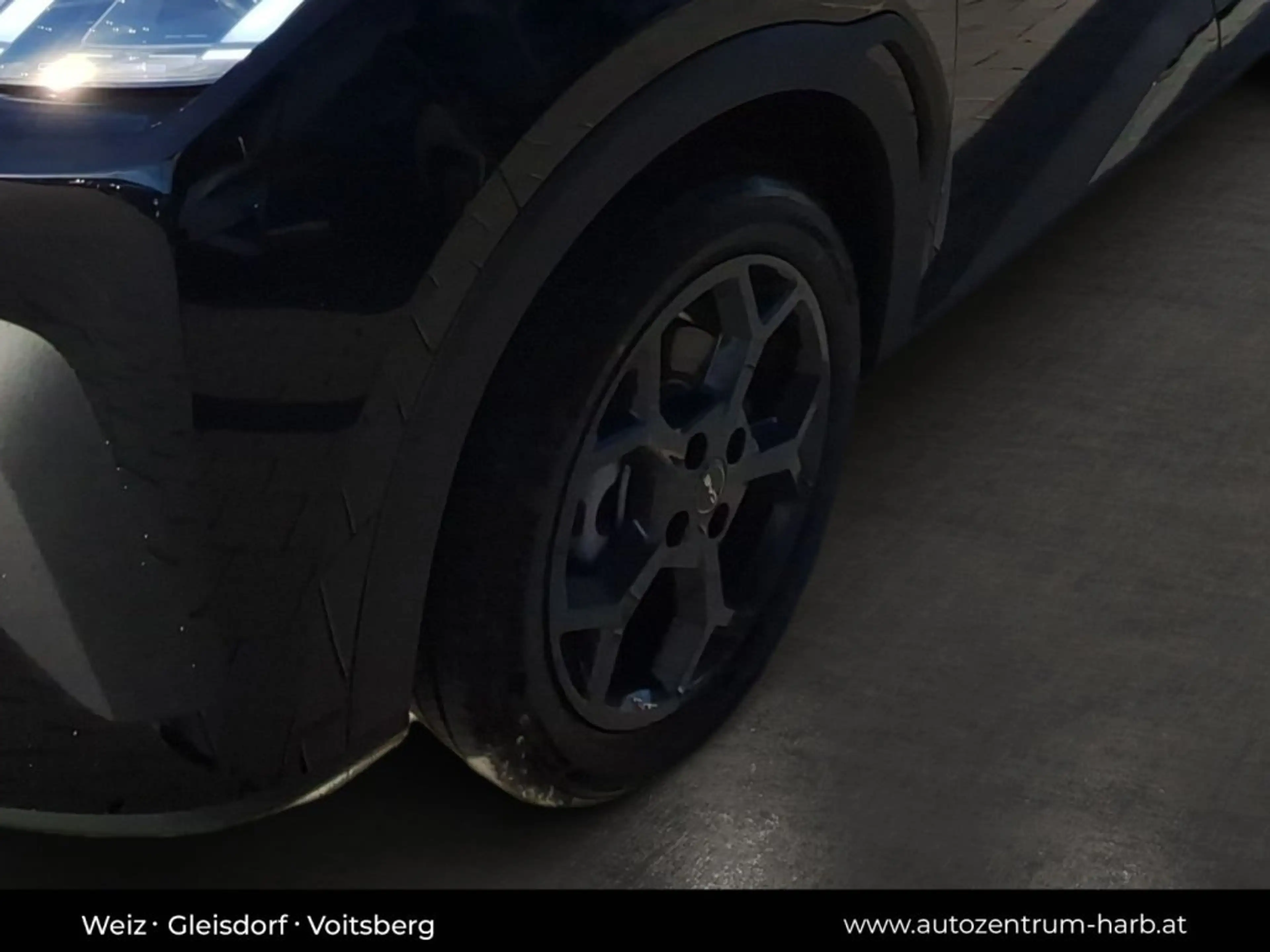 BYD Dolphin Surf Boost — photo 11