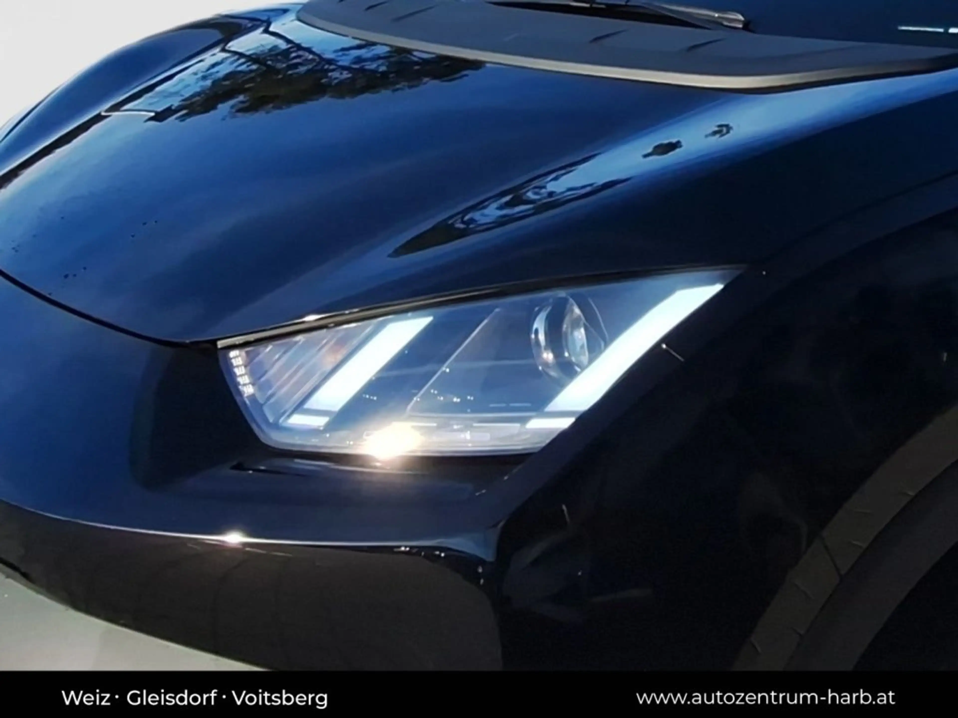 BYD Dolphin Surf Boost — photo 10