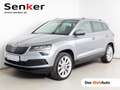 Skoda Karoq 4x4 Style TDI DSG Grau - thumbnail 1