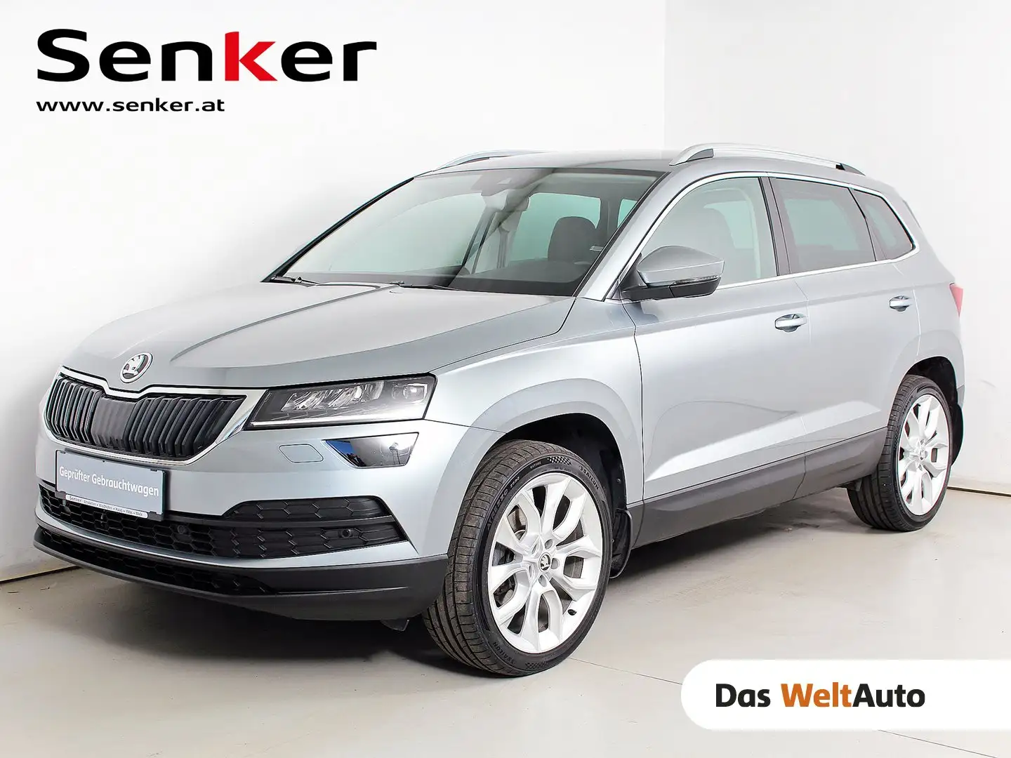 Skoda Karoq 4x4 Style TDI DSG Grau - 1