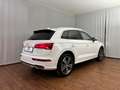 Audi Q5 2.0 TDI ultra quattro Sport Weiß - thumbnail 12