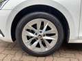 Skoda Octavia Combi 2.0 TDI Style DSG Navi LED Sitzhzg Weiß - thumbnail 12