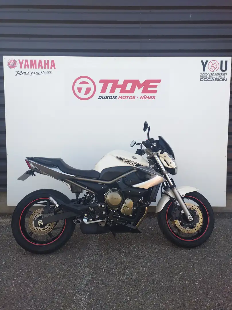 Yamaha XJ 6 Blanc - 1