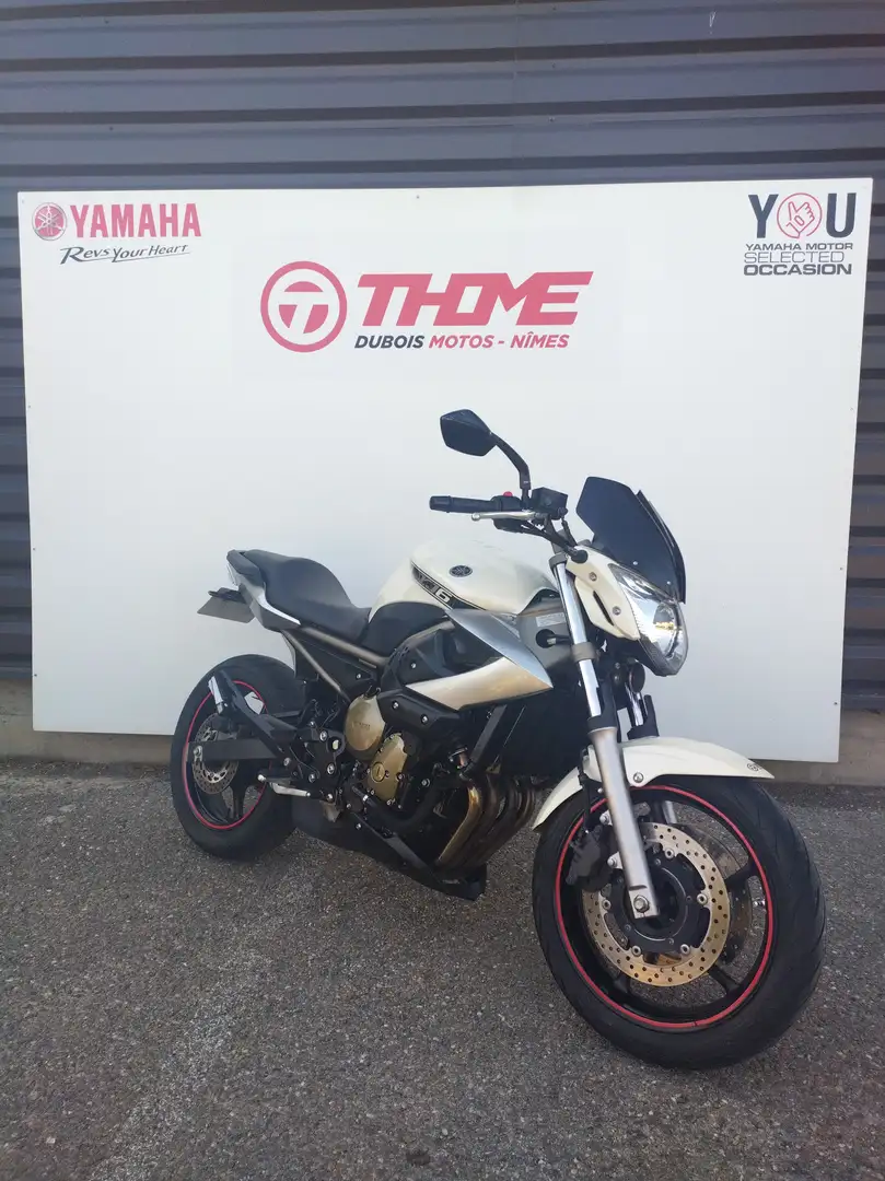 Yamaha XJ 6 Blanc - 2