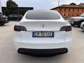 Tesla Model Y Model Y Long Range AWD Bianco - thumbnail 4