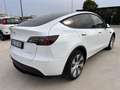 Tesla Model Y Model Y Long Range AWD Bianco - thumbnail 5