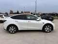 Tesla Model Y Model Y Long Range AWD Bianco - thumbnail 6