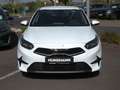 Kia Ceed / cee'd Ceed 1.5T DCT Ultimate Edition Navi Kamera JBL Weiß - thumbnail 2