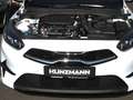 Kia Ceed / cee'd Ceed 1.5T DCT Ultimate Edition Navi Kamera JBL Weiß - thumbnail 20