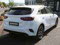 Kia Ceed / cee'd Ceed 1.5T DCT Ultimate Edition Navi Kamera JBL Weiß - thumbnail 3