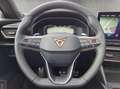 CUPRA Formentor 2.0 TSI VZ Tribe Edition Grau - thumbnail 9