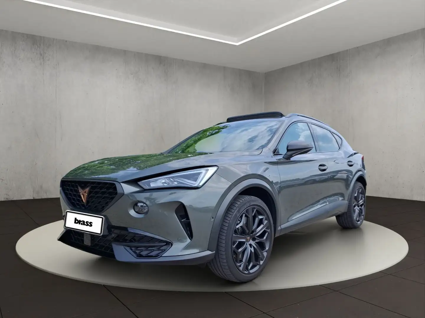 CUPRA Formentor 2.0 TSI VZ Tribe Edition Grau - 1