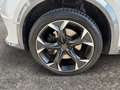 CUPRA Formentor VZ 4Drive 2.0 TSI DSG PDC ACC Navi Weiß - thumbnail 15