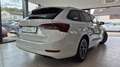 Skoda Octavia Combi 1.5 TSI Clever *AHK*Navi*LED* Weiß - thumbnail 4